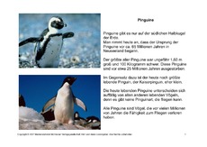 Bilderbuch-Pinguine-1-6.pdf